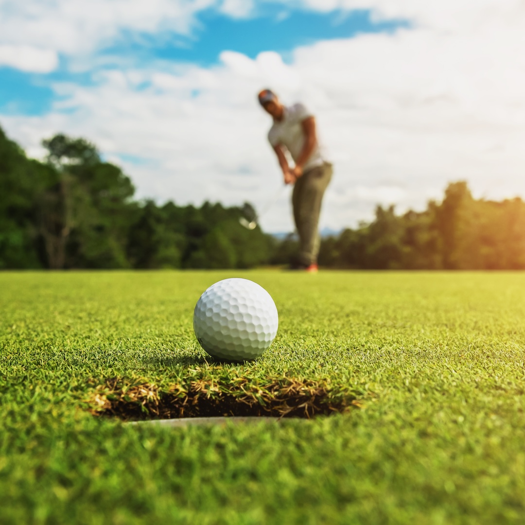 Turf Home Page Image