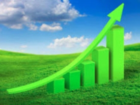 pasture_profit