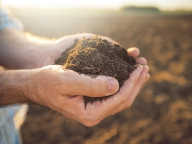 Farmer holding handful of soil