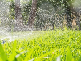 Watering lawn