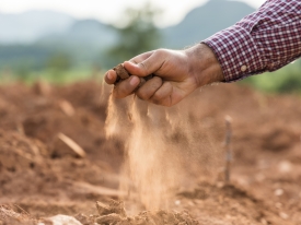 Farmer holding soil in hand