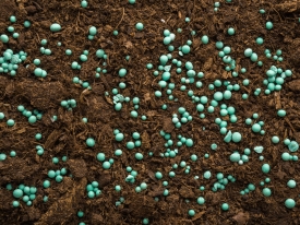 Fertilizer 