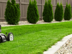 Mowing lawn