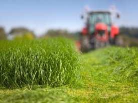 Tractor in grass