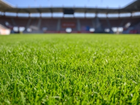 Sports field with HGT grass.