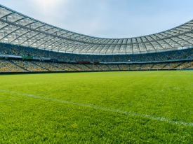 Sports field with rpr grass.