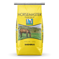 Large yellow bag of grass seed with the word Horsemaster - Horses love it! and a photo of a brown horse eating green grass