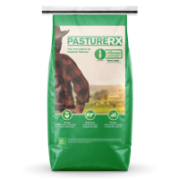 Large green bag of grass seed with a picture of a farmer and the word Pasture Rx on the front