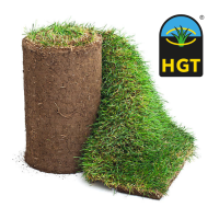 HGT Sod