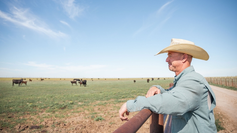 farmer overlooking pasture