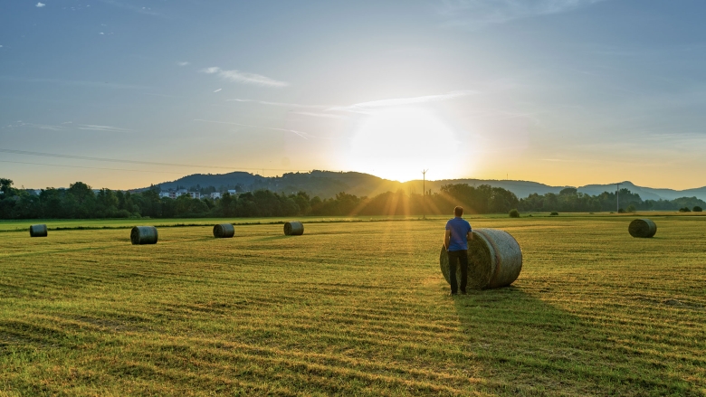Sunset pasture with farmer