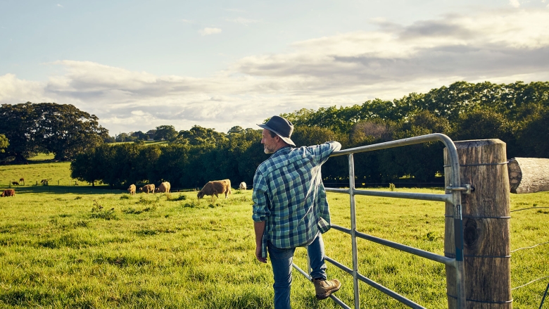 pasture