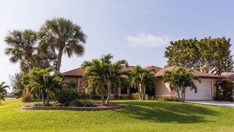 bermudagrass lawn with suburban house with palm trees under a clear blue sky