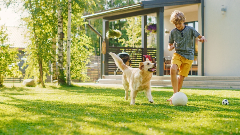 Young boy and dog playing soccer on beautiful home lawn