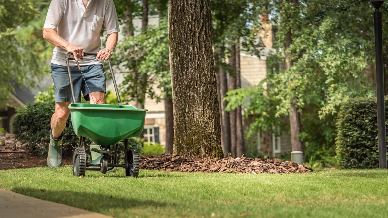 Seeding Home Lawn