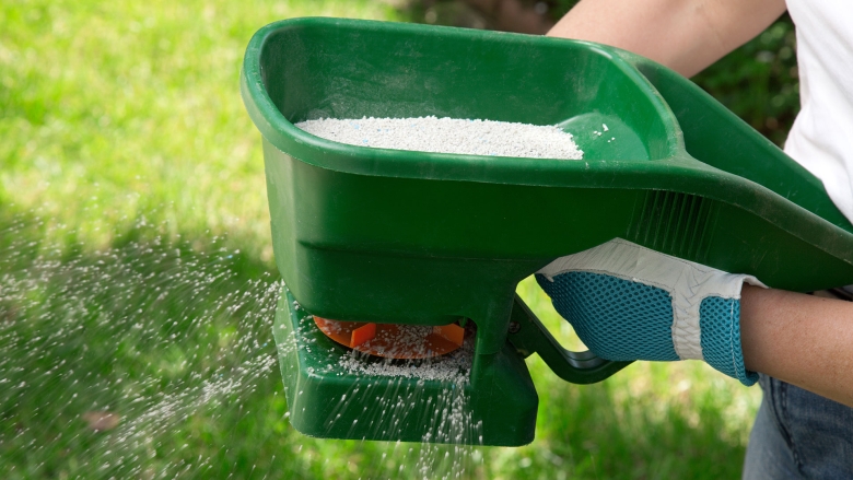 fertilizing lawn