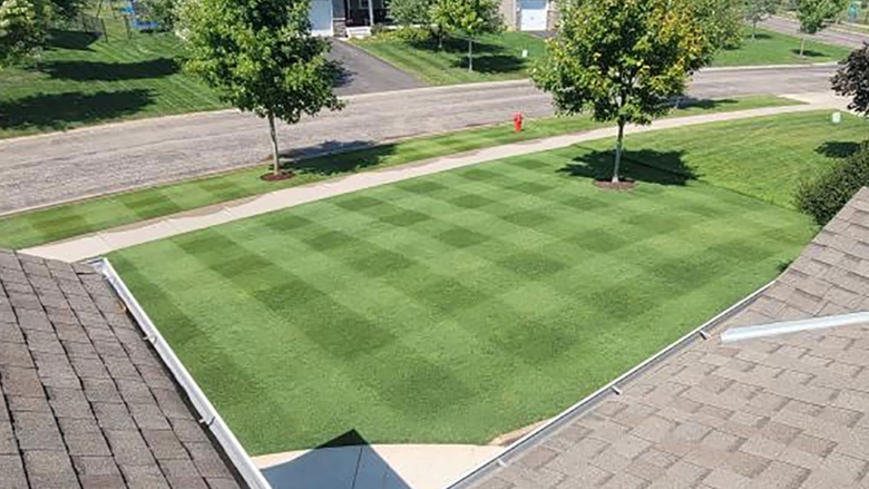 Perfectly manicured perennial ryegrass home lawn