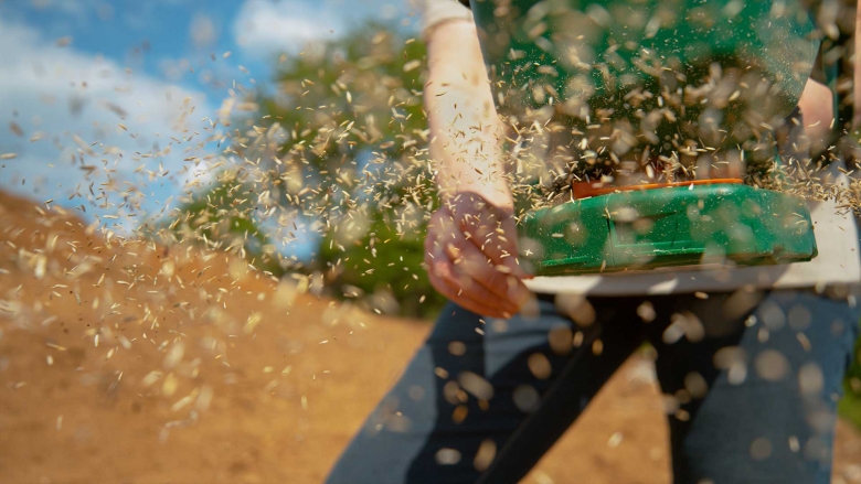 Person using spreader to plant grass seed