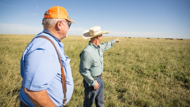 famers in pasture