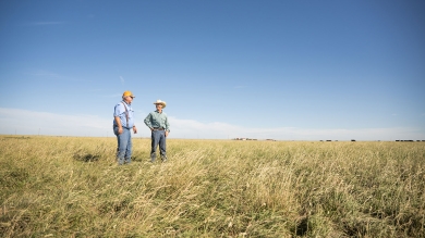 farmers in field