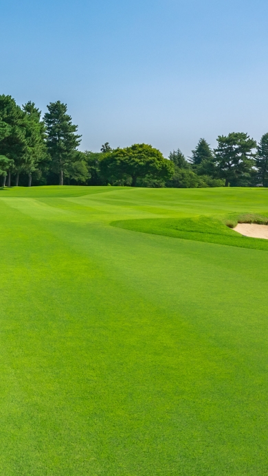 Lush green golf course with blue sky.