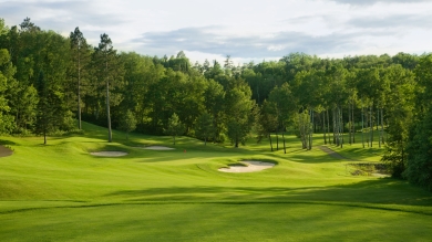 Green golf course fairway with evergreen trees