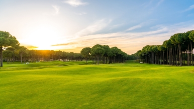 Light green golf course fairway under the setting sun.