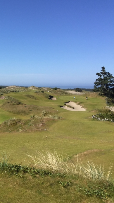 beautiful golf course under clear blue sky.