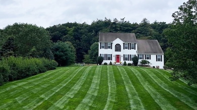 home lawn
