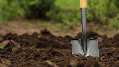 shovel in dirt