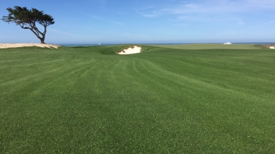 RPR on Monterey Peninsula Country Club Dunes' golf course fairway.