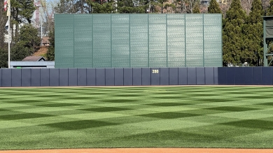Green grass in a baseball outfield 