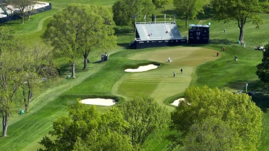 RTF tall fescue sod bunker surrounds on a golf course.