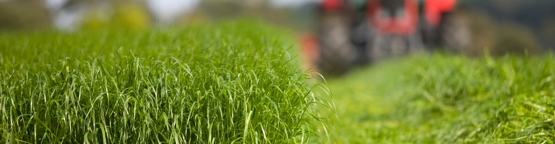Tractor in grass