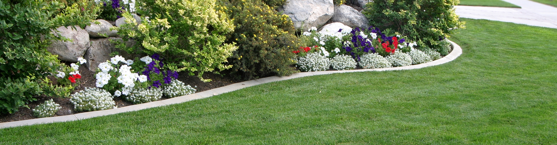 Closeup of lawn in the shade with rocks and bushes lining the green area