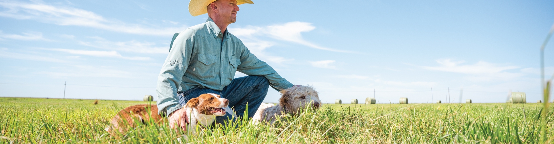 Cowboy with dog sitting in cattle pasture under blue sky.