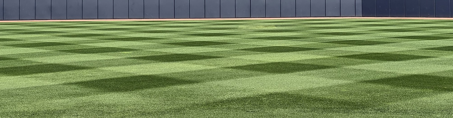 Green grass in a baseball outfield 