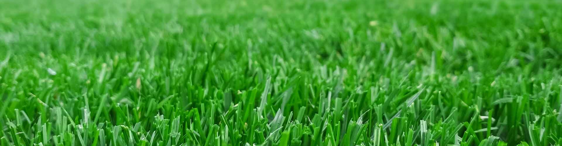 Macro view of freshly cut grass on a homelawn.