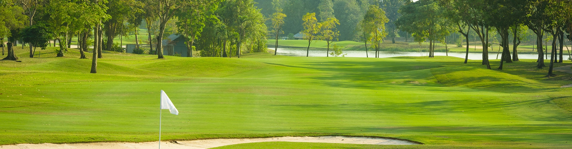Golf course green with trees lining fairway