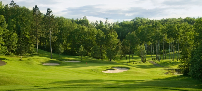 Green golf course fairway with evergreen trees