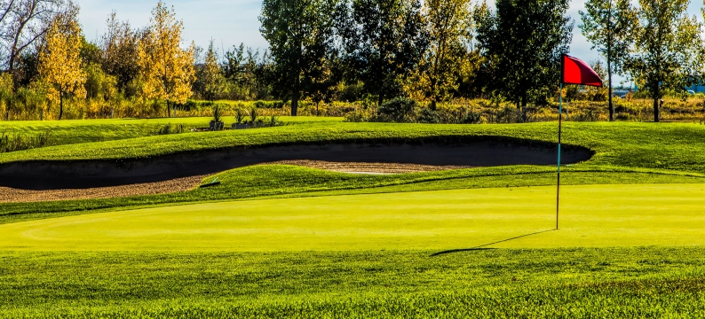 Golf putting green with flag and green grass.