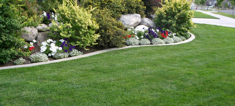 Closeup of lawn in the shade with rocks and bushes lining the green area
