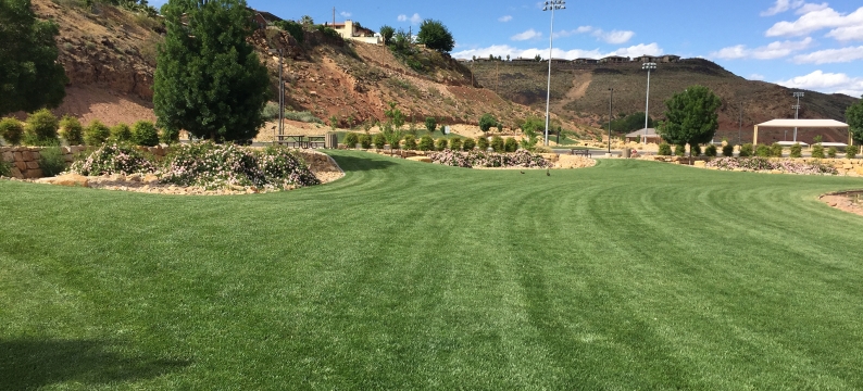 Green lawn in a city park with rocky hills in the background. 