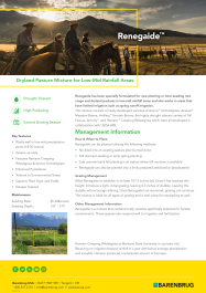 Renegade Tech Sheet