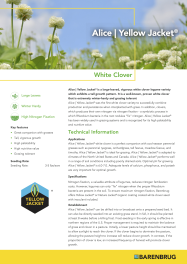 Alice_TechSheet_2026.png