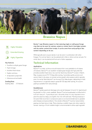 Barsica_TechSheet_2026_0.png