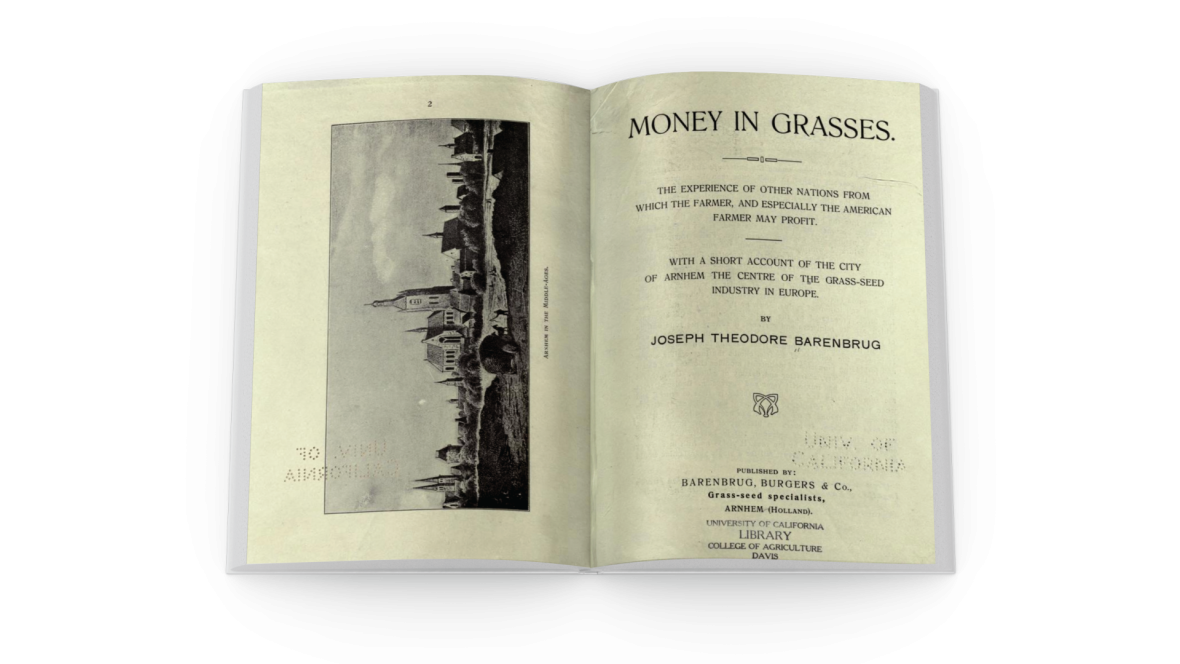 Money in Grasses book with open pages.