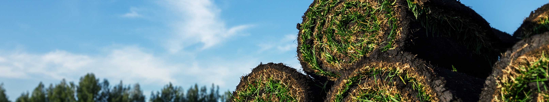 Rolls of grass sod stacked on a green field with trees and blue sky in background. 