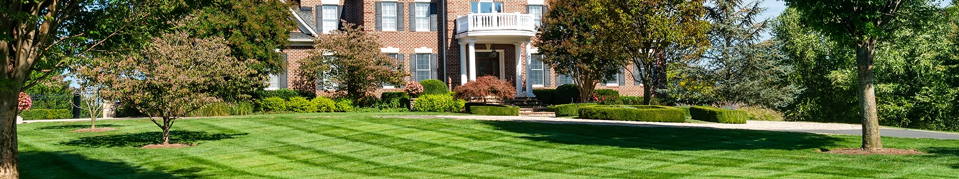 Photo of a high end home with blue sky and green grass in front with trees on each side. 