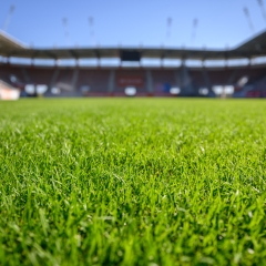 Sports field with HGT grass.